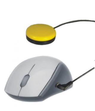 Imagen del ratón adaptado (caja de conexión)